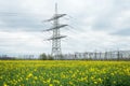 Power lines and substation, high voltage lines behind, electrical grid. High-voltage power line, transmission tower overhead line Royalty Free Stock Photo