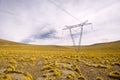 Power lines towers in the Altiplano high Andean plateau at 4200 meters over the sea level, Atacama desert, Antofagasta Region, C Royalty Free Stock Photo