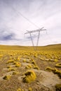 Power lines towers in the Altiplano high Andean plateau at 4200 meters over the sea level, Atacama desert, Antofagasta Region, C Royalty Free Stock Photo