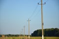 Power lines. Wires. Electricity. Insulated wires. Royalty Free Stock Photo