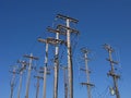 Power lines on wooden poles Royalty Free Stock Photo