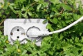 Power outlet in green grass Royalty Free Stock Photo