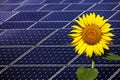 Power plant using renewable solar energy Royalty Free Stock Photo