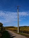 Power pole standing aside agricultural road between vineyards with discolored leaves in autumn near Durbach, Germany. Royalty Free Stock Photo