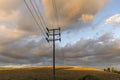 Power poles in late afternoon light at Yallourn