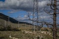 Power poles on yellow grassy steppe among green bushes, white stones, stand by slope of Baikal mountains. Metal constructions.