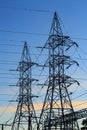 Power pylons at dusk, with roosting birds