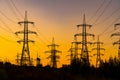 Power pylons on sunset time background. Electricity pylons and high-voltage power lines on the high trees silhouettes. Royalty Free Stock Photo