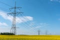 Power supply lines in a field of blooming oilseed Royalty Free Stock Photo