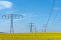 Power supply lines in a field of flowering oilseed Royalty Free Stock Photo