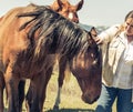 A Woman Pets a Brown Horse