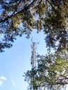 Iron tower in the jungle under blue sky Royalty Free Stock Photo