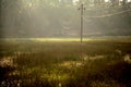 The power transmission line in the marshy area