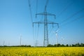 Power transmission lines in a field of blooming oilseed Royalty Free Stock Photo