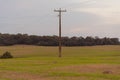 The electric power pole and the pasture field