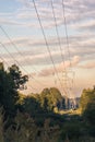 Power transmission tower on background greenery on a summer evening Royalty Free Stock Photo