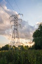 Power transmission tower on background greenery on a summer evening Royalty Free Stock Photo