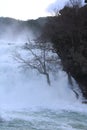 The power of water. Lonely tree in the pouring water at the `Skradinski Buk` waterfall - Krka National Park, Lozovac, Croatia Royalty Free Stock Photo