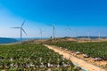 .Power of wind turbine generating electricity clean energy with cloud background on the blue sky.Global ecology.Clean energy Royalty Free Stock Photo