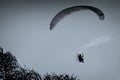 Powered paraglider