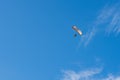 A powered paraglider trike flying over blue sky down up view Royalty Free Stock Photo