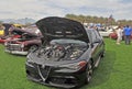 Powerful Alfa Romeo Italian Luxury Car