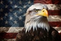 Powerful american bald eagle majestically perched on a distressed grunge american flag Royalty Free Stock Photo