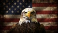 Powerful american bald eagle proudly perched on a distressed and weathered grunge american flag Royalty Free Stock Photo