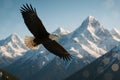Bald Eagle Flying Over Snowy Mountain Range Royalty Free Stock Photo