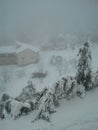 Powerful and beautiful snow - ALGERIA