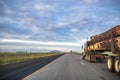 Powerful big rig semi truck transporting long tree logs running on the divided straight highway road