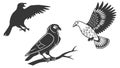 Powerful birds of prey and crows, vector design Generative AI Royalty Free Stock Photo