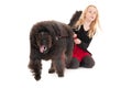 Powerful black labradoodle on a red leash pulling happy, young blonde girl along