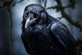 Powerful black raven. Generate Ai