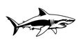 Fierce Shark Vector Illustration - Aggressive Marine Predator Design Royalty Free Stock Photo