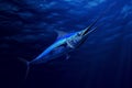 A powerful blue marlin fish elegantly swims in the vast deep blue water, A blue marlin in the depths of the sea, all its majestic