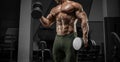 Powerful bodybuilder works out in a gym with dumbbells. No name portrait. Bodybuilding concept