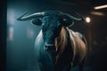 Powerful bull with dark background for dramatic effect