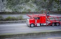 Powerful classic big rig red car hauler semi truck running with empty semi trailer on the divided road with ivy covered wall