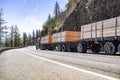 Powerful classic big rig semi truck tractor transporting fastened lumber wood on flat bed semi trailers running on the mountain
