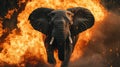 Powerful elephant charging through flames Royalty Free Stock Photo