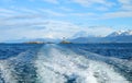 Powerful foaming water at the cruise ship stern with Les Eclaireurs lighthouse, the iconic landmark of Beagle channel, Ushuaia Royalty Free Stock Photo