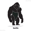 Powerful Gorilla Silhouette Vector Illustration on Transparent Backdrop Royalty Free Stock Photo