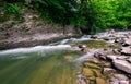 Powerful green forest stream under the cliff