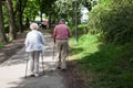 Powerful happy elderly people are walking with hiking sticks, canes