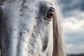 Powerful horse\'s eye gazes under a cloudy sky, majestic mane
