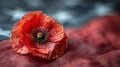 Memorial Day Tribute: Single Poppy on US Flag - Remembrance and Gratitude Royalty Free Stock Photo
