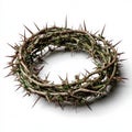 Crown of thorns stock photo: religious symbolism, easter, lent, christianity, jesus on transparent background Royalty Free Stock Photo