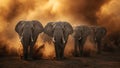 Majestic Elephants Marching Through Dust Royalty Free Stock Photo