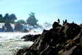 The powerful Khone Phapheng Waterfalls near Don Det Royalty Free Stock Photo